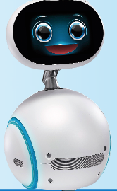 Vatandaş robot